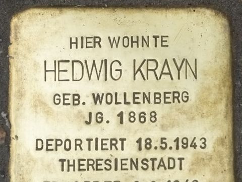 Stolperstein Hedwig Krayn