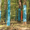 Bildvergrößerung: Ein Forstamt macht blau