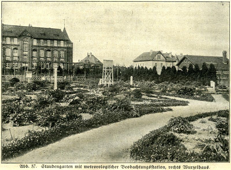 Photo 3.2: Site of the Dahlem climate station on the grounds of the Royal Gardening Academy (Königliche Gärtnerlehranstalt) at Königin-Luise-Str. 22 (period from April 1, 1908 to 1962)