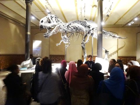 Tristan Otto Dinosaurier im Naturkundemuseum, grell beleuchtet