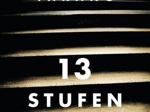 Coverbild des Romans "13 Stufen"
