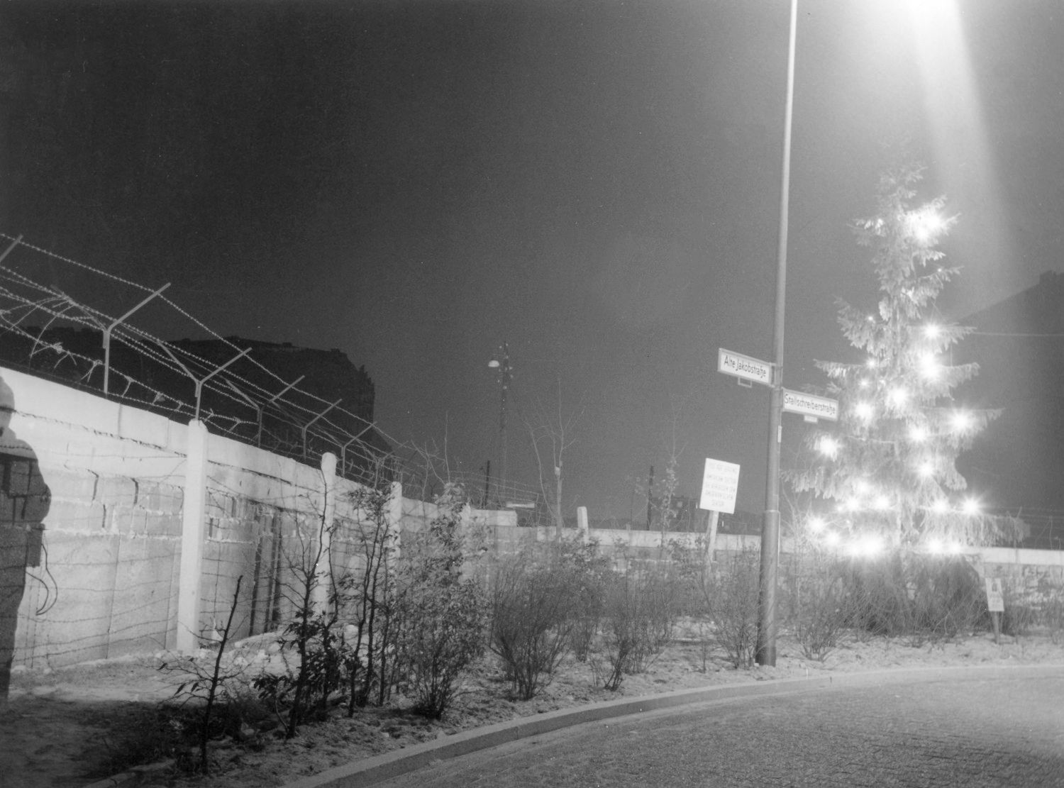 Weihnachtsbäume an der Mauer als Symbol der Verbundenheit: Hier an der Stallschreiber Straße, Ecke Alte Jakobstraße. Aufnahme vom 17. Dezember 1961.