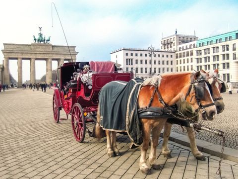 Pferdekutsche vorm Brandenburger Tor