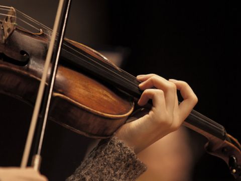 Die Violine, Instrument des Jahres