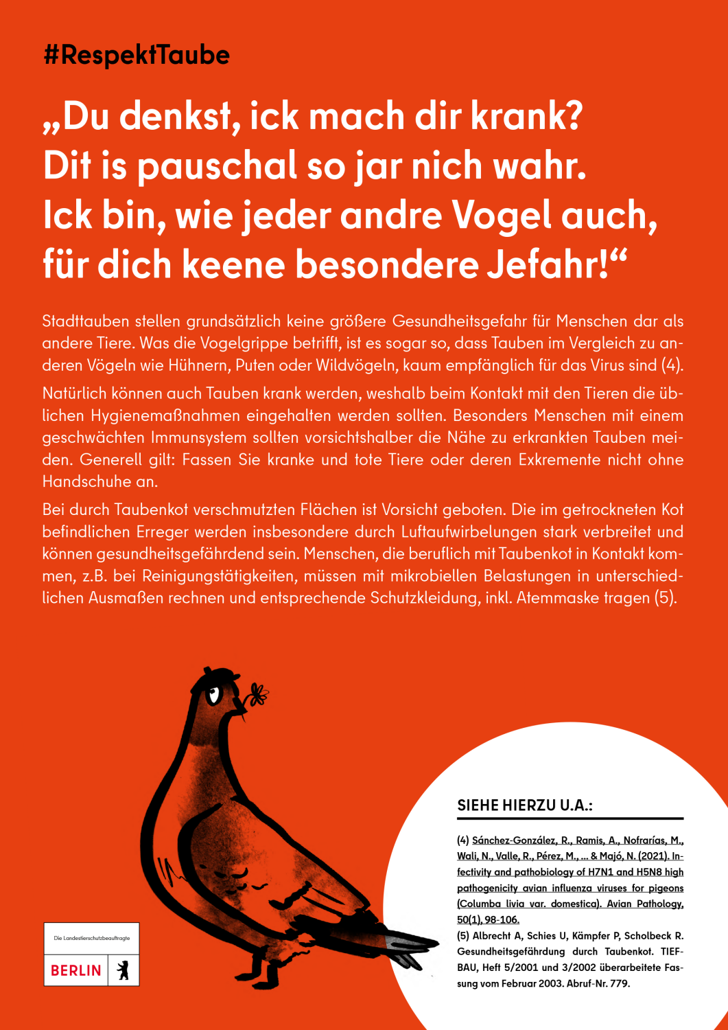 Berlins Stadttauben – Infokampagne #RespektTaube