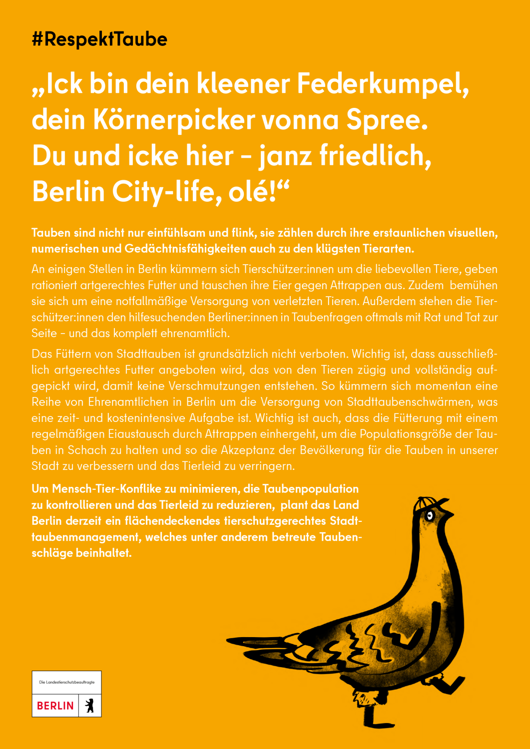 Berlins Stadttauben – Infokampagne #RespektTaube