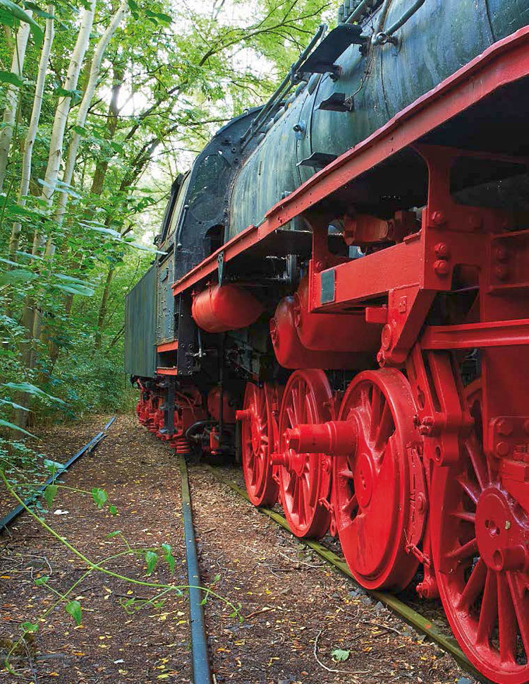Ein Blick von der Seite auf eine ausrangierte Dampflokomotive der Baureihe 50, die ein bekanntes Wahrzeichen des Geländes darstellt. Die imposante schwarze Lok mit ihrem leuchtend roten Fahrwerk steht auf einem ehemaligen Gleis. Am linken Bildrand sprießen Bäume und dichtes Unterholz aus dem Erdboden. Die Lok wurde 1940 gebaut. Nach dem Krieg verblieb sie in der DDR. Ausgemustert Anfang der 80er Jahre diente sie noch als Heizlok. Nach der Wende wurde sie zunächst von Eisenbahnfreunden in Halberstadt erworben. Heute erfreut sie die Besucher im Natur-Park Südgelände.