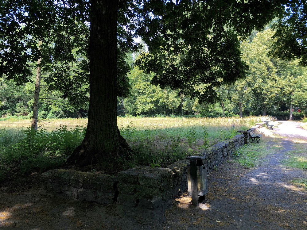 Volkspark Wittenau im Juni 2019