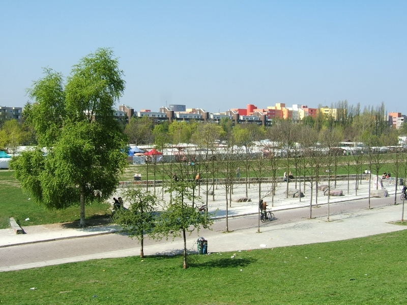 Baumgruppen im zentralen Bereich des Mauerparks (alter Parkteil).