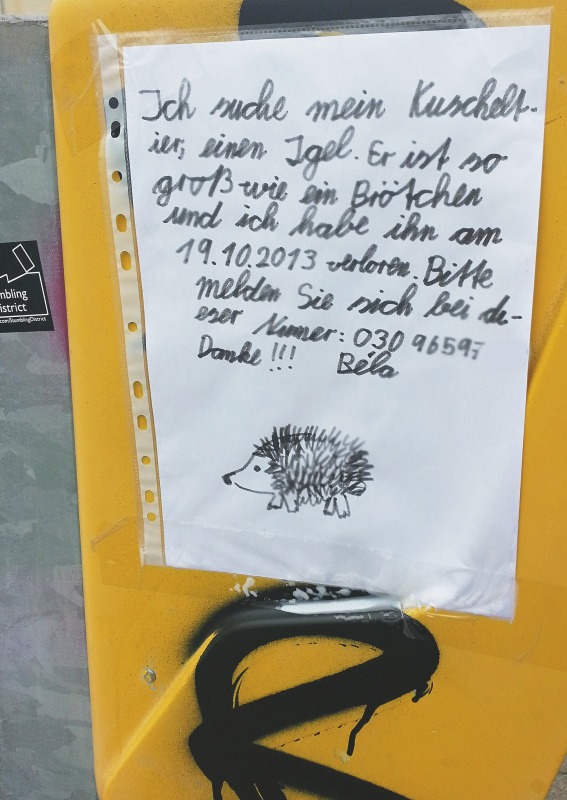 Zettel mit einer Suche nach einem Kuscheltier