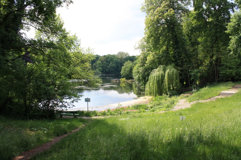 Blick über den Koenigssee. Abgeschlossene Uferbepflanzung im Rhoda-Erdmann-Park