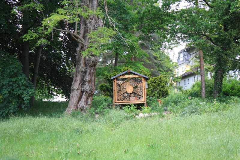 Insektenhotel im Rhoda-Erdmann-Park mit bester Aussicht auf den See