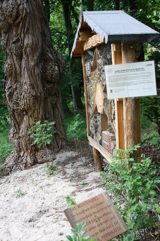 Sandfläche für Wildbienen vor dem Insektenhotel im Rhoda-Erdmann-Park
