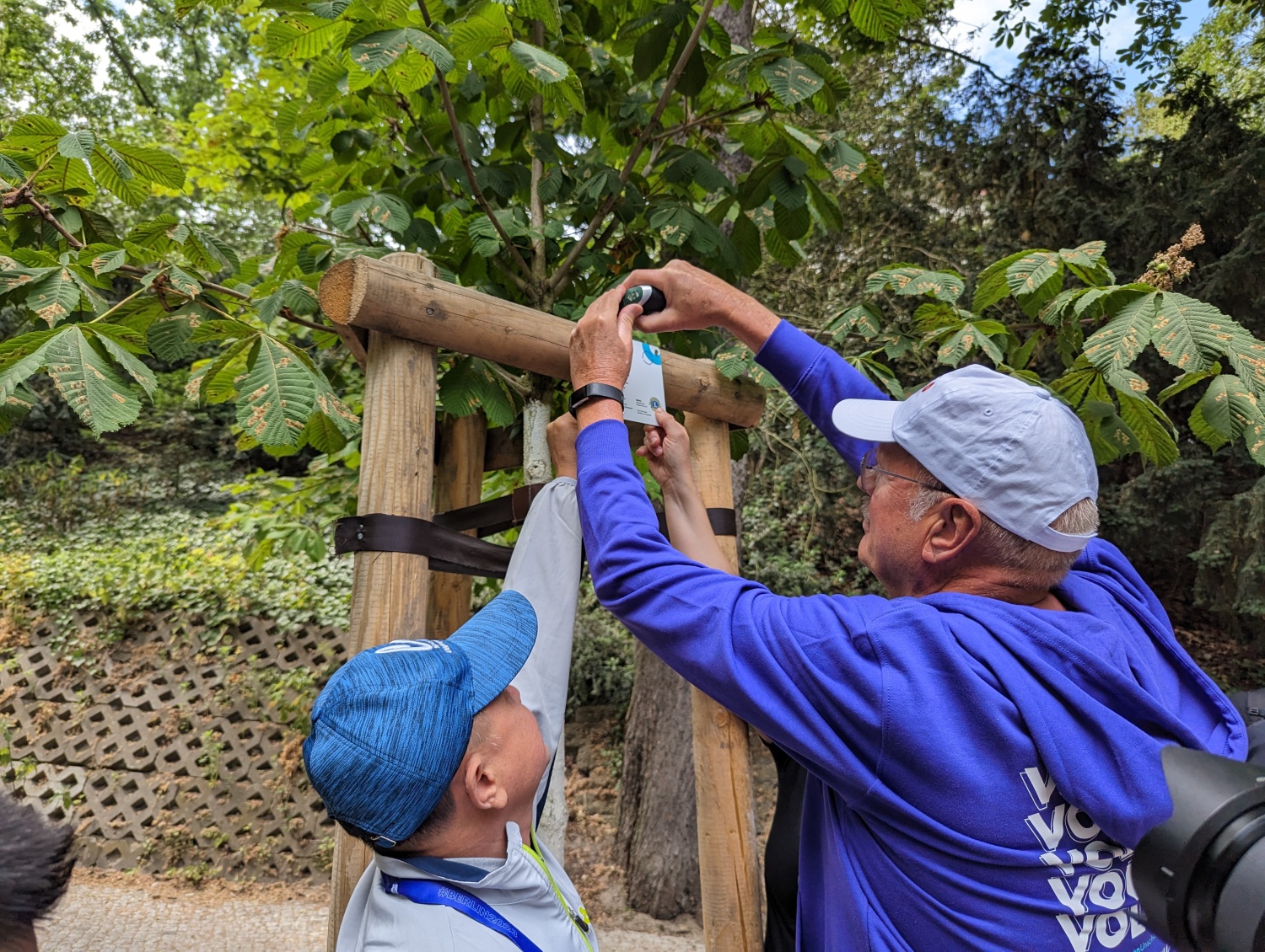 Special Olympics - Baum der Freundschaft im Lietzenseepark