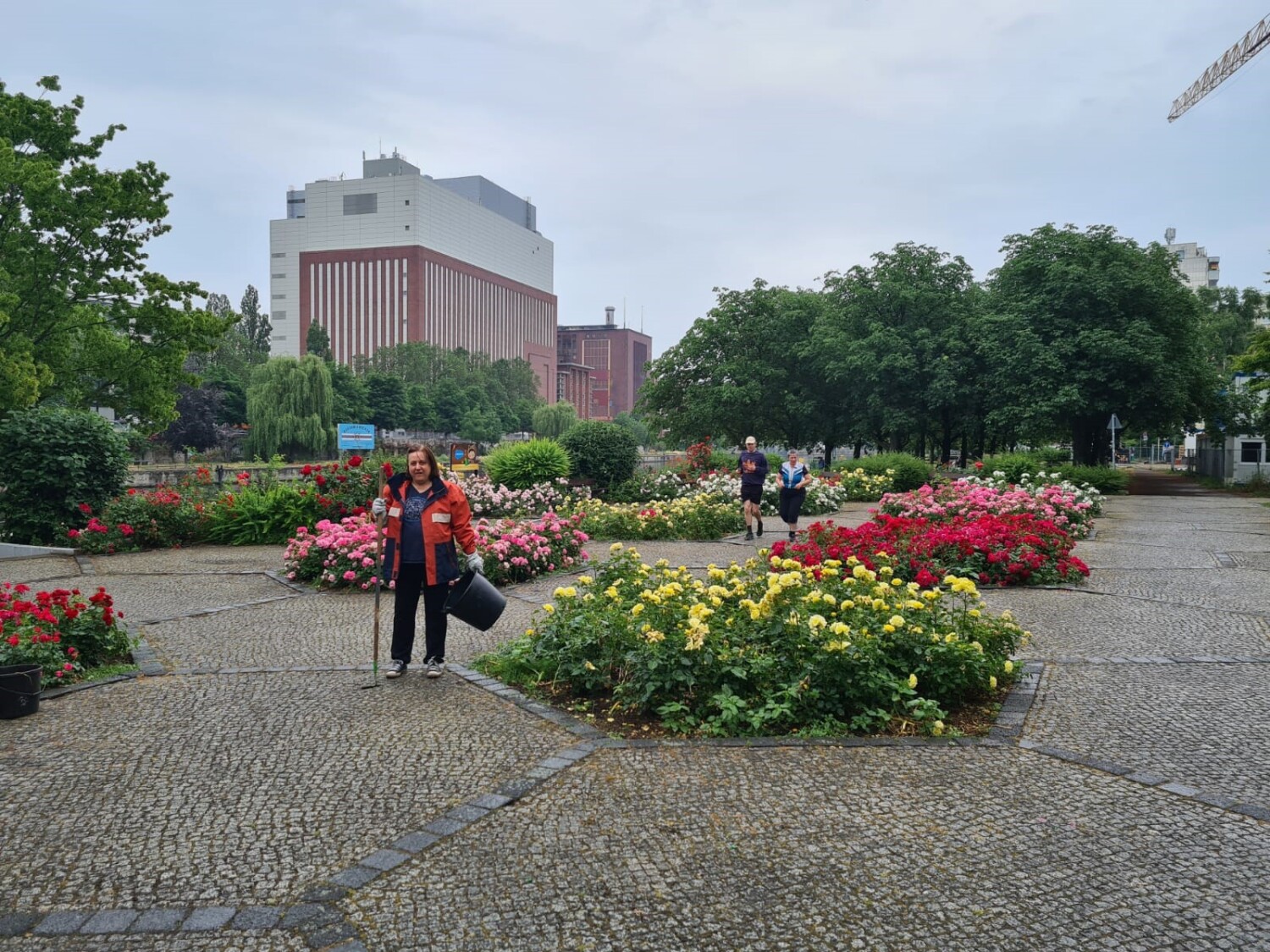 Rosengarten Iburger Ufer