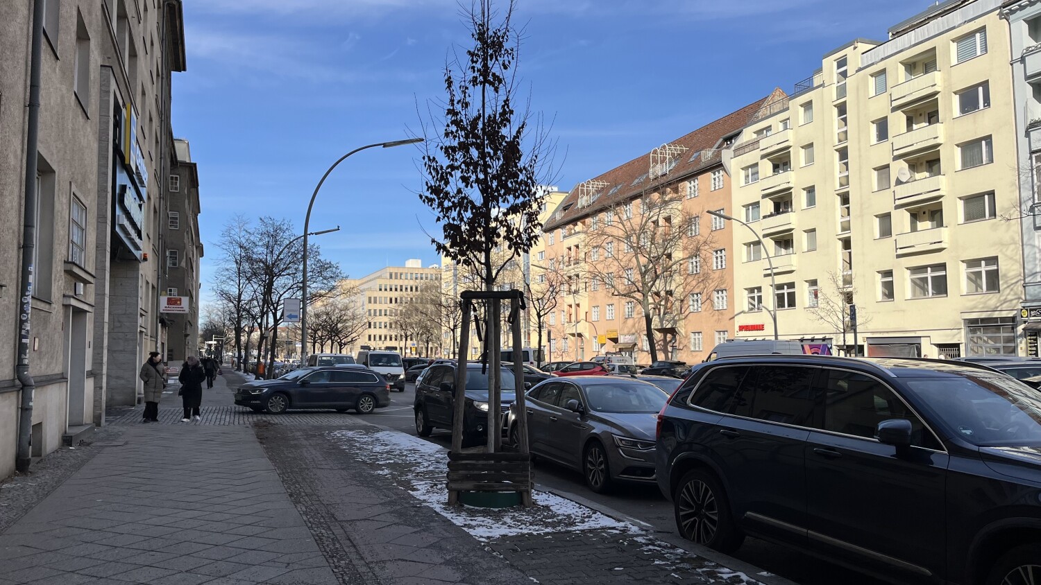 Baumscheibe mit Jungbaum im Bezirk Charlottenburg-Wilmersdorf