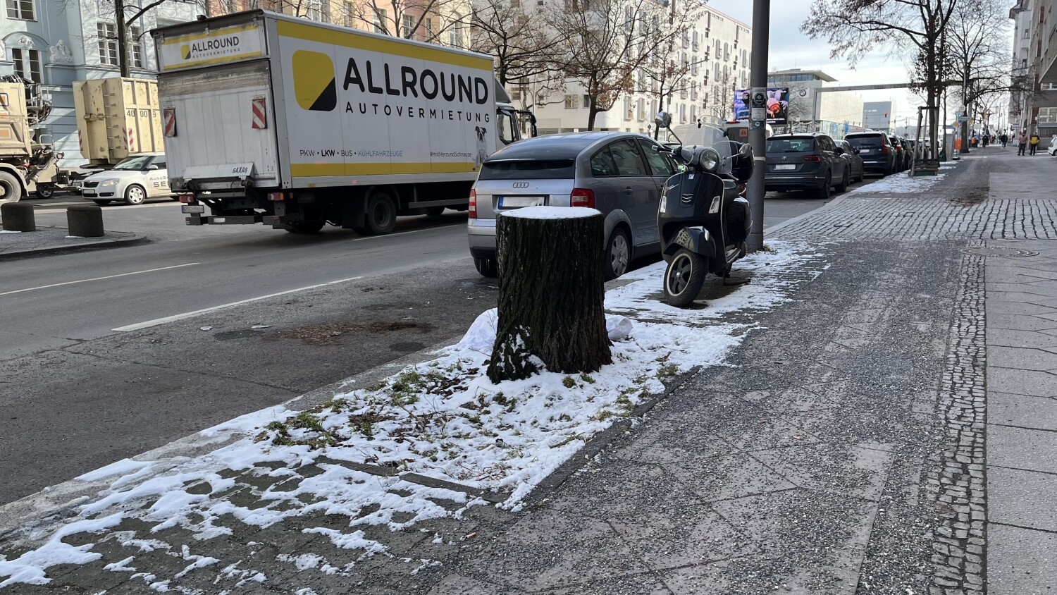 Leere Baumscheibe im Bezirk Charlottenburg-Wilmersdorf