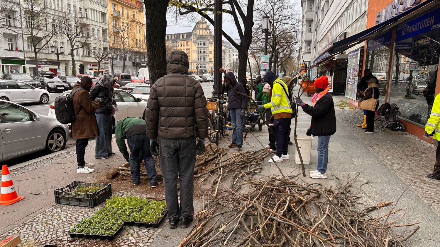 Interkultureller Jugendaustausch: Jugendliche aus Bangangté und Charlottenburg-Wilmersdorf bepflanzen gemeinsam Baumscheiben.
