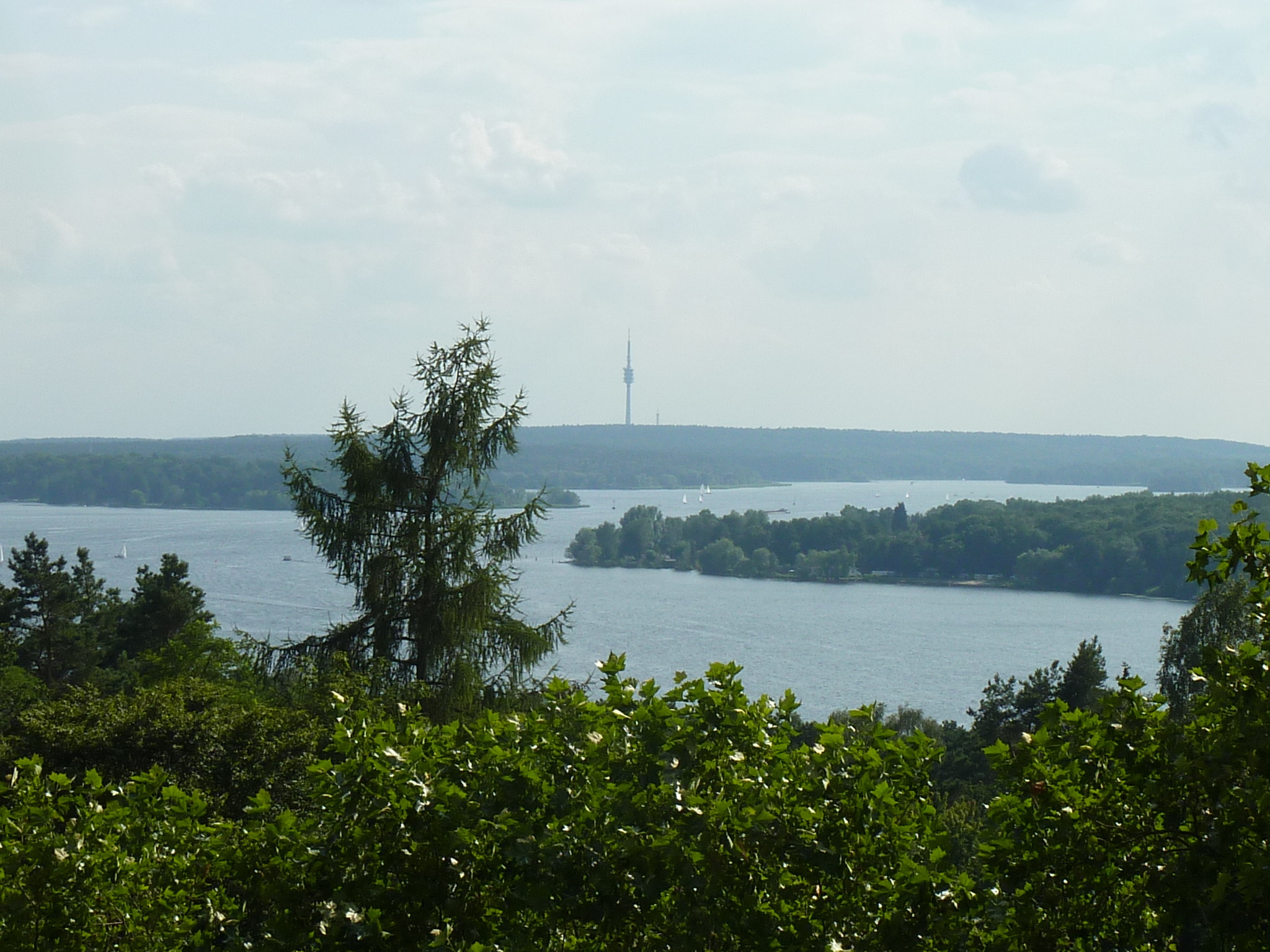 Blick vom Grunewaldturm über die Havel zum Schäferberg, 10.7.2012, Foto: KHMM