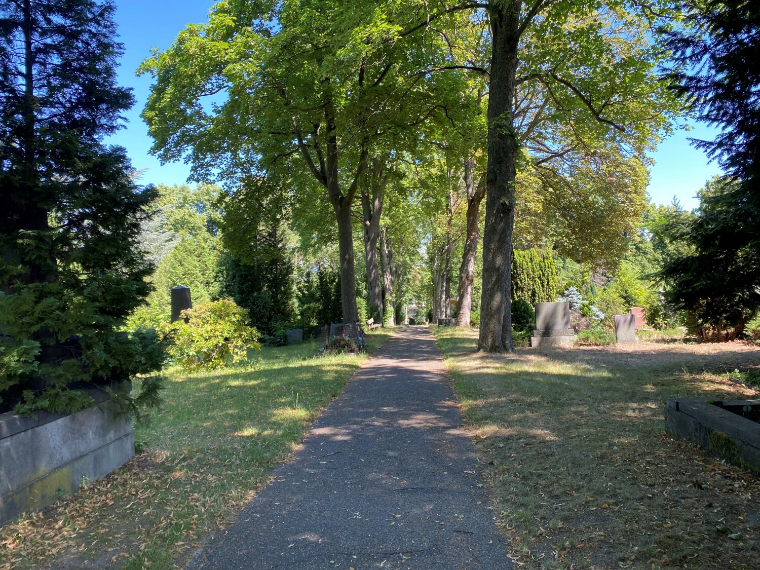 Luisenfriedhof II_Wege
