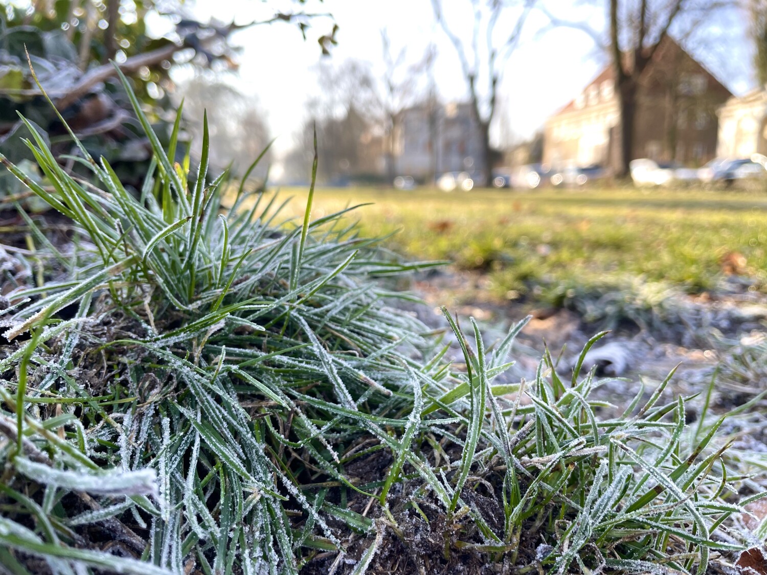 Anneliese- und Georg-Groscurth-Platz