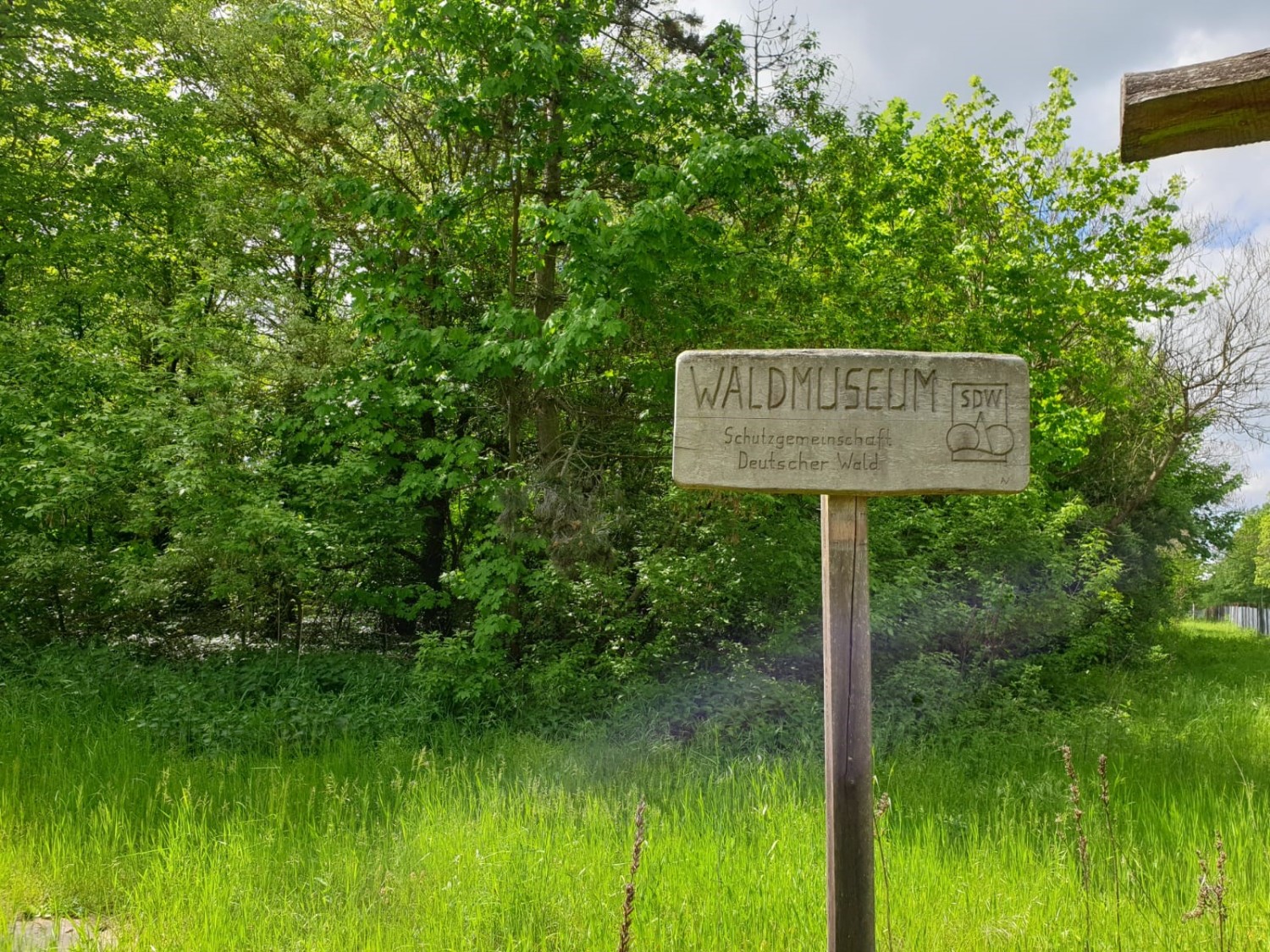 Schild zum Waldmuseum