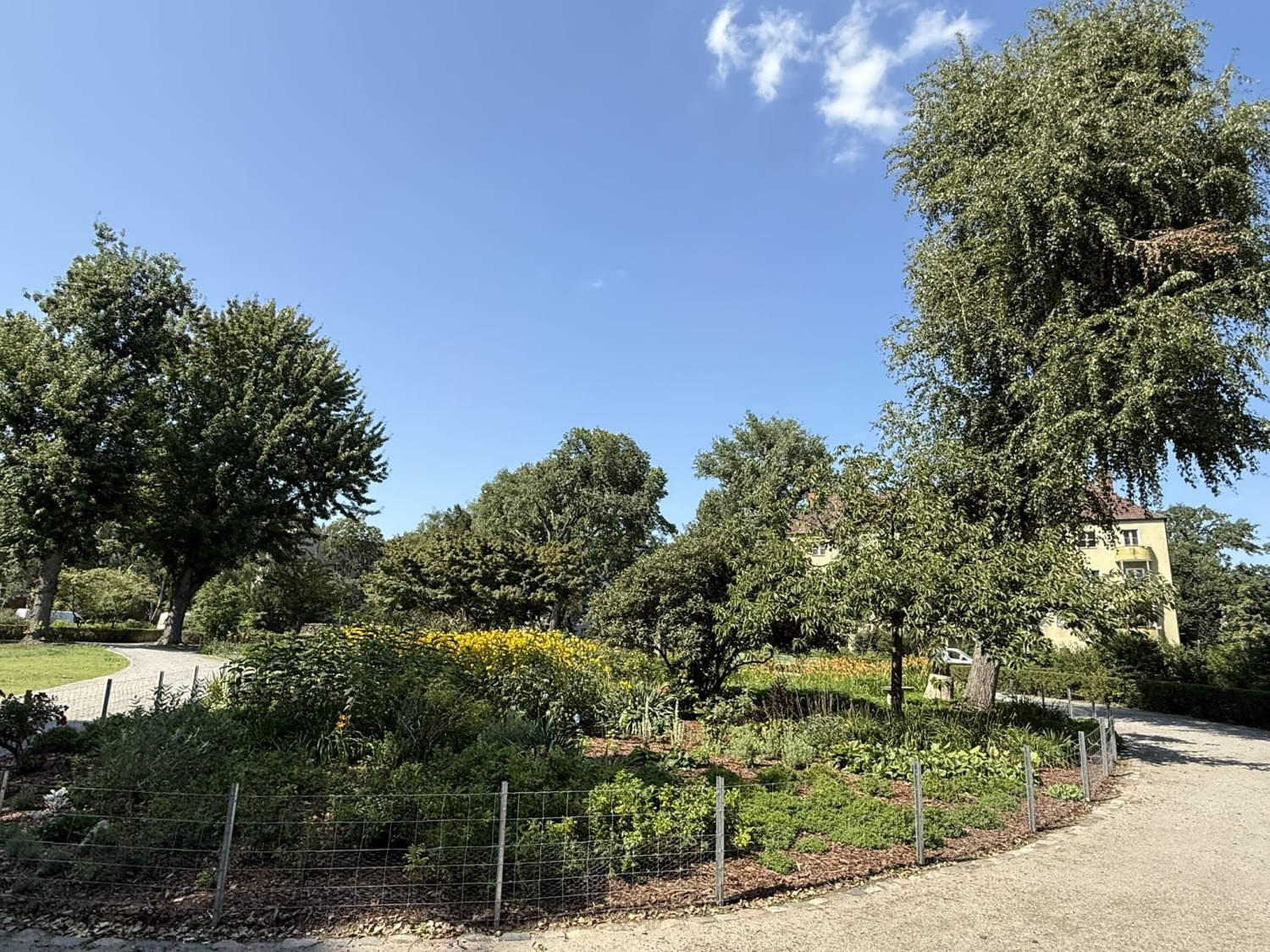 270. Kiezspaziergang