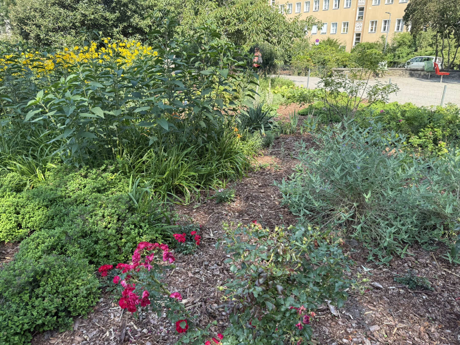 270. Kiezspaziergang Goebelplatz