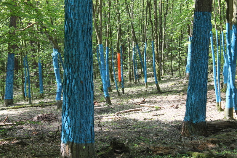 Grunewald