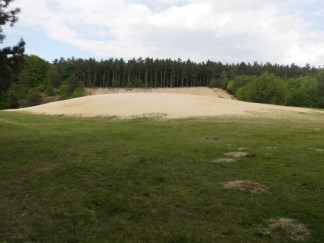 *Bild 1/1: Naturschutzgebiet im Jagen*<br />Weiter führt der Weg an den Rand der Kleingartenkolonie Grunewald und geht über in eine Kastanienallee bis zum Naturschutzgebiet im Jagen 86. Dieses hochinteressante Gebiet kann man als gut gelungene Renaturierungsmaßnahme sehen, die Erholung und Naturschutz in Einklang bringt.<br />Besonders der große Sandberg, der die Kinder zum Spielen und Toben einlädt, ist für Schulklassen und Kitagruppen ein beliebter Ausflugspunkt und erinnert an die ehemalige Nutzung als Sandgrube.