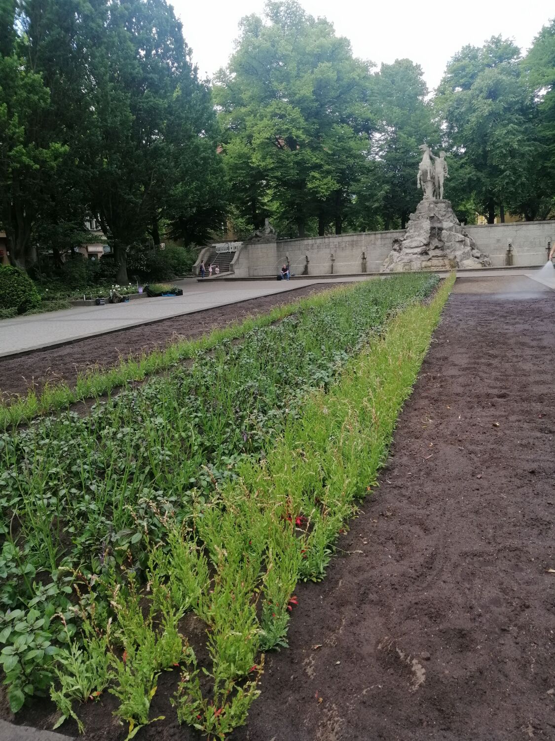 Rüdesheimer Platz Juni 2022
