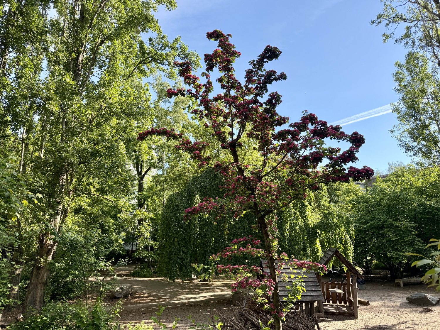 Spielplatz Danckelmannstraße 16