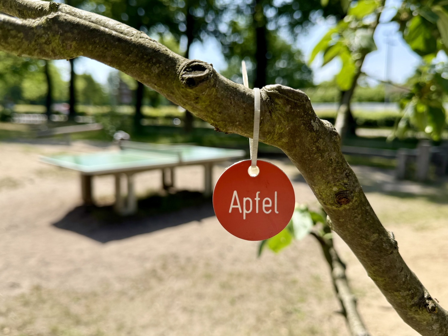 Spielplatz Schuhmannplatz
