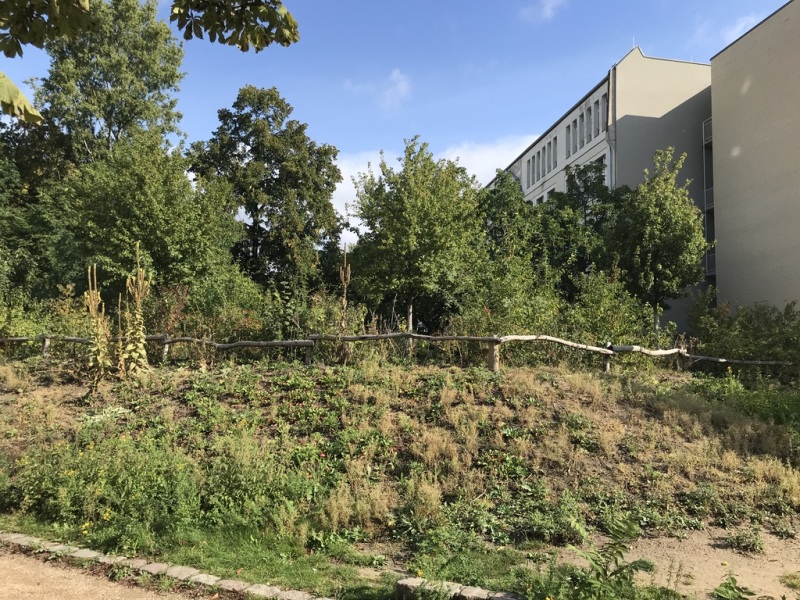 Bienengarten der Robert-Jungk-Oberschule_2019