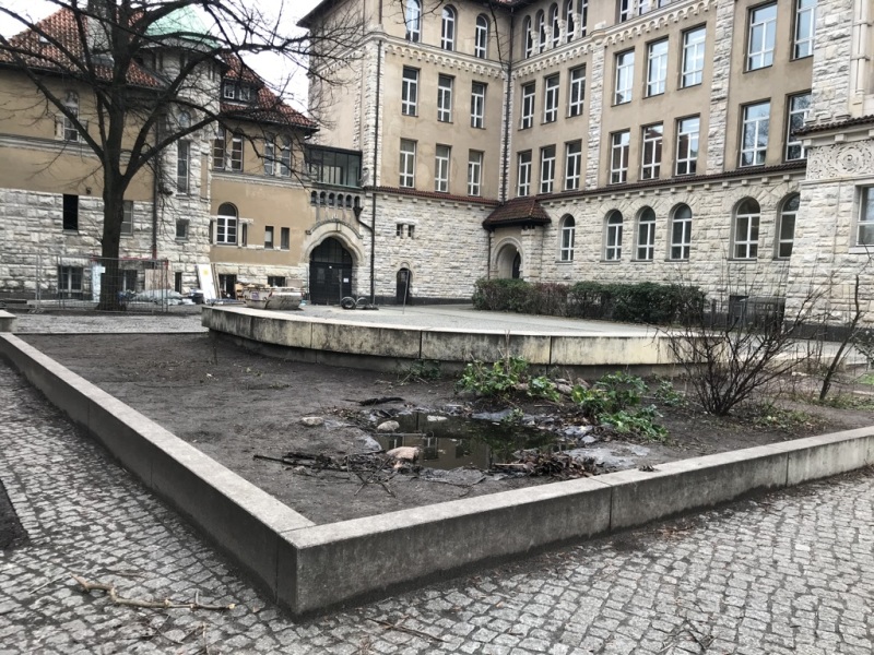 zukünftiges Grünes Klassenzimmer am Goethe-Gymnasium_2020
