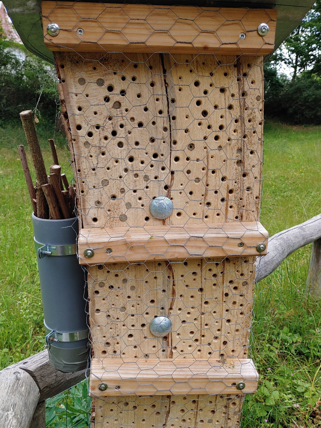 Viele Niströhren im Holzblock vom Ortelsburger Park sind im Juni 2025 bereits von Wildbienenlarven besetzt.