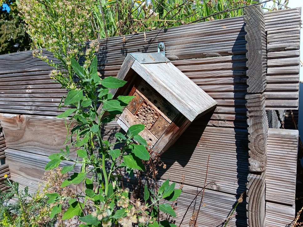 Kleine Insektennisthilfe in der Erwin-von-Witzleben-Grundschule_2023