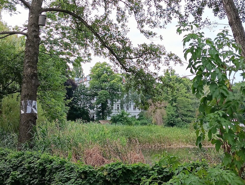 Nistkasten Halensee Grau-Erle_2023