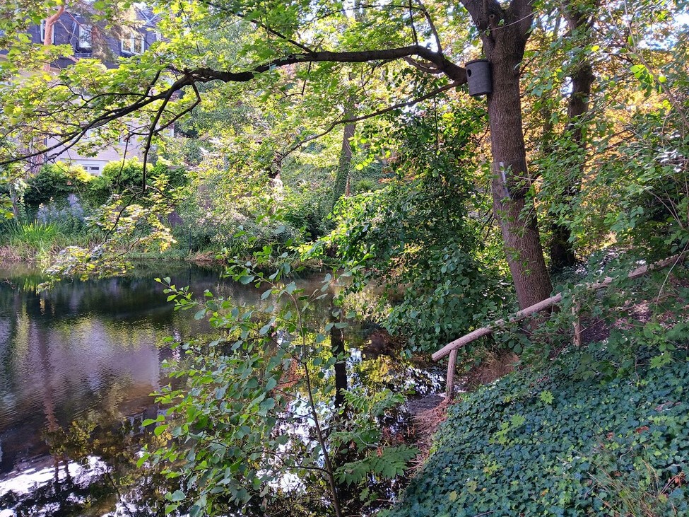 Nistkasten Herthasee Spitz-Ahorn_2023