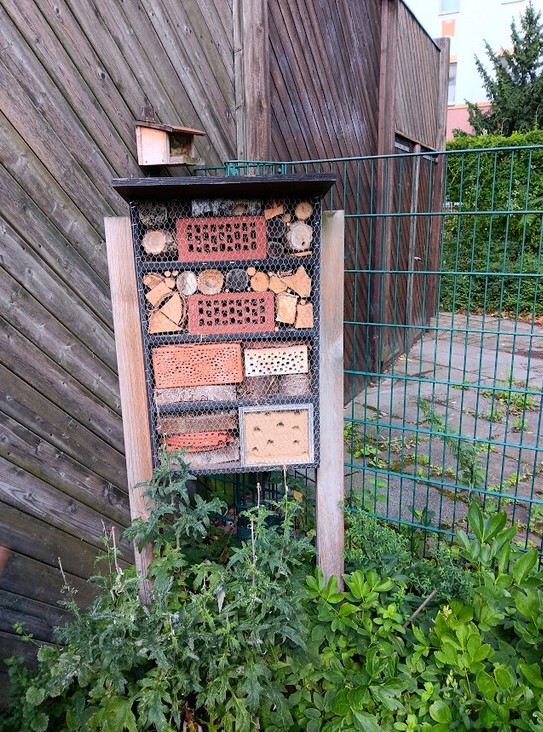 Insektenhotel in der Nehring-Grundschule_2023