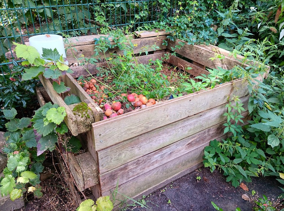 Kompostanlage in der Nehring-Grundschule_2023
