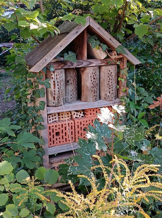 Insektenhotel in der Ernst-Adolf-Eschke-Schule_2023