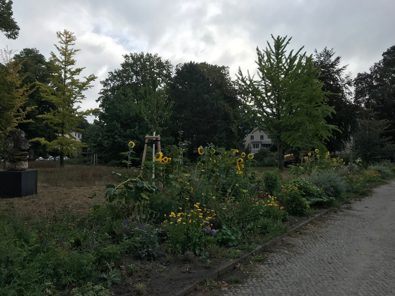 bepflanzte Beete auf dem Betty-Hirsch-Platz im August 2022