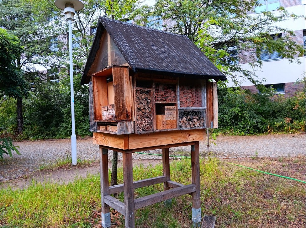 Insektennisthilfe der Robert-Jungk-Schule_2023