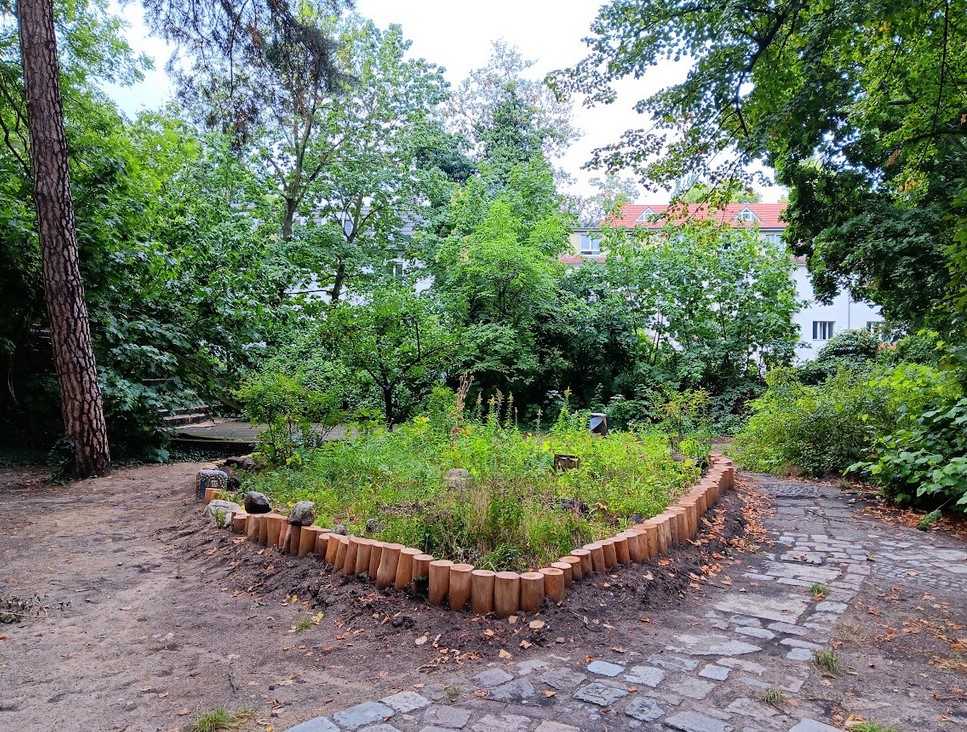 Schulgarten Heinz-Berggruen-Gymnasium_2023