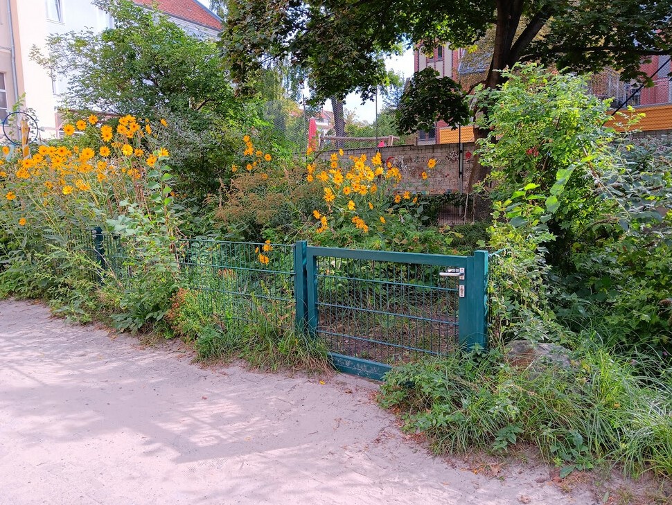 Eingang zum Schulgarten der Villa Comenius im September_2023