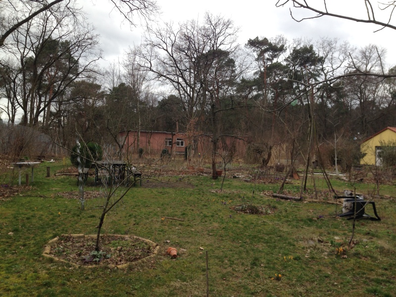 Schulgarten der Wald-Grundschule mit Obstgehölzen_2019