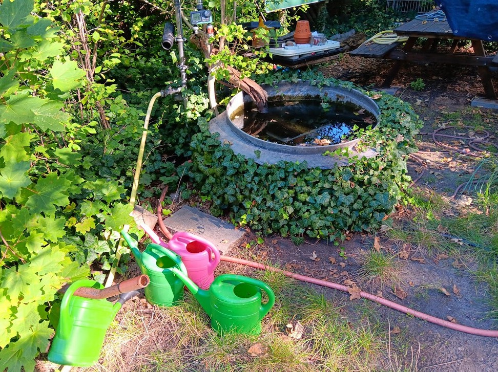 Gartenbewässerung in der Wald-Grundschule_2023