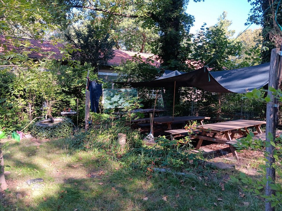Grünes Klassenzimmer in der Wald-Grundschule_2023