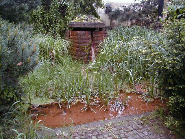 Grundwasserförderung (Eisengehalt) Jungfernheideteich